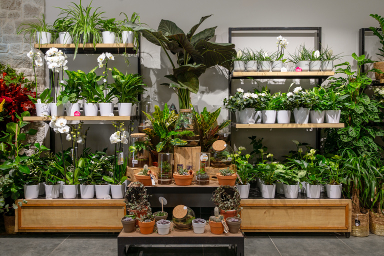 Photographe boutique fleuriste Monceau Fleurs à Paris