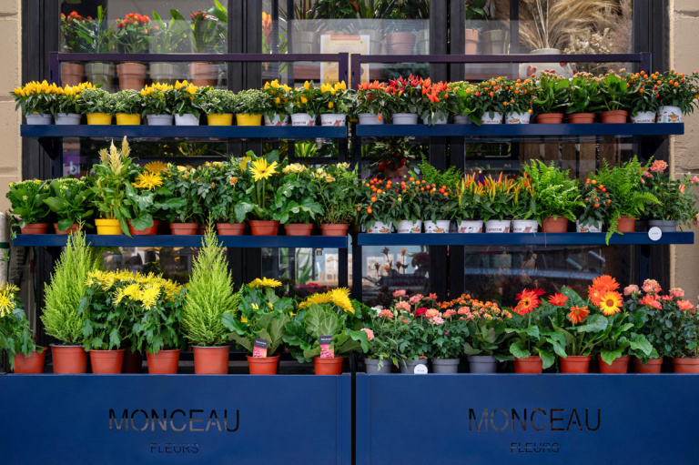 Photographe boutique fleuriste Monceau Fleurs à Paris